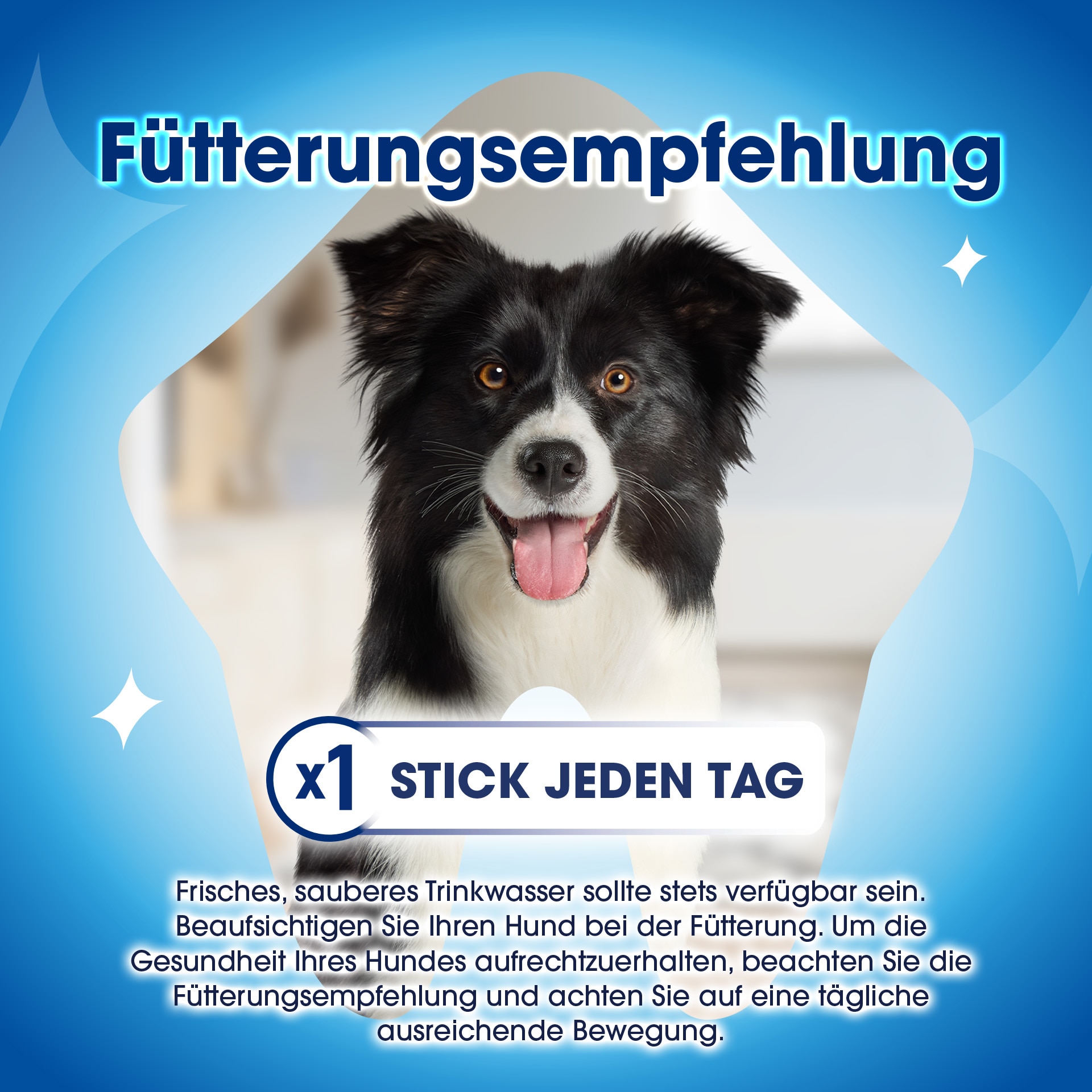 Fütterungsempfehlung Werbung, Plakat, Hund, Säugetier, Haustier
