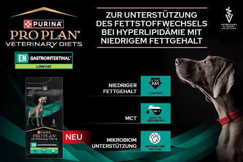 Werbung, Plakat, Hund, Haustier