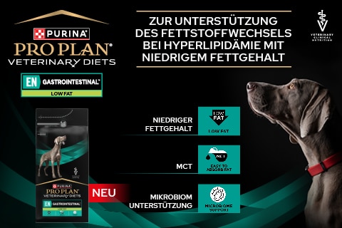 PPVD_Banner Webshop_EN LOW FAT 02_480x320 Werbung, Plakat, Hund, Haustier