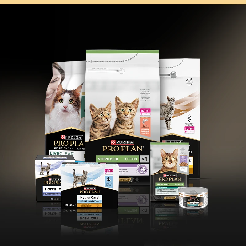 cat_(1)_019d19fdb897731a823163371bacd416