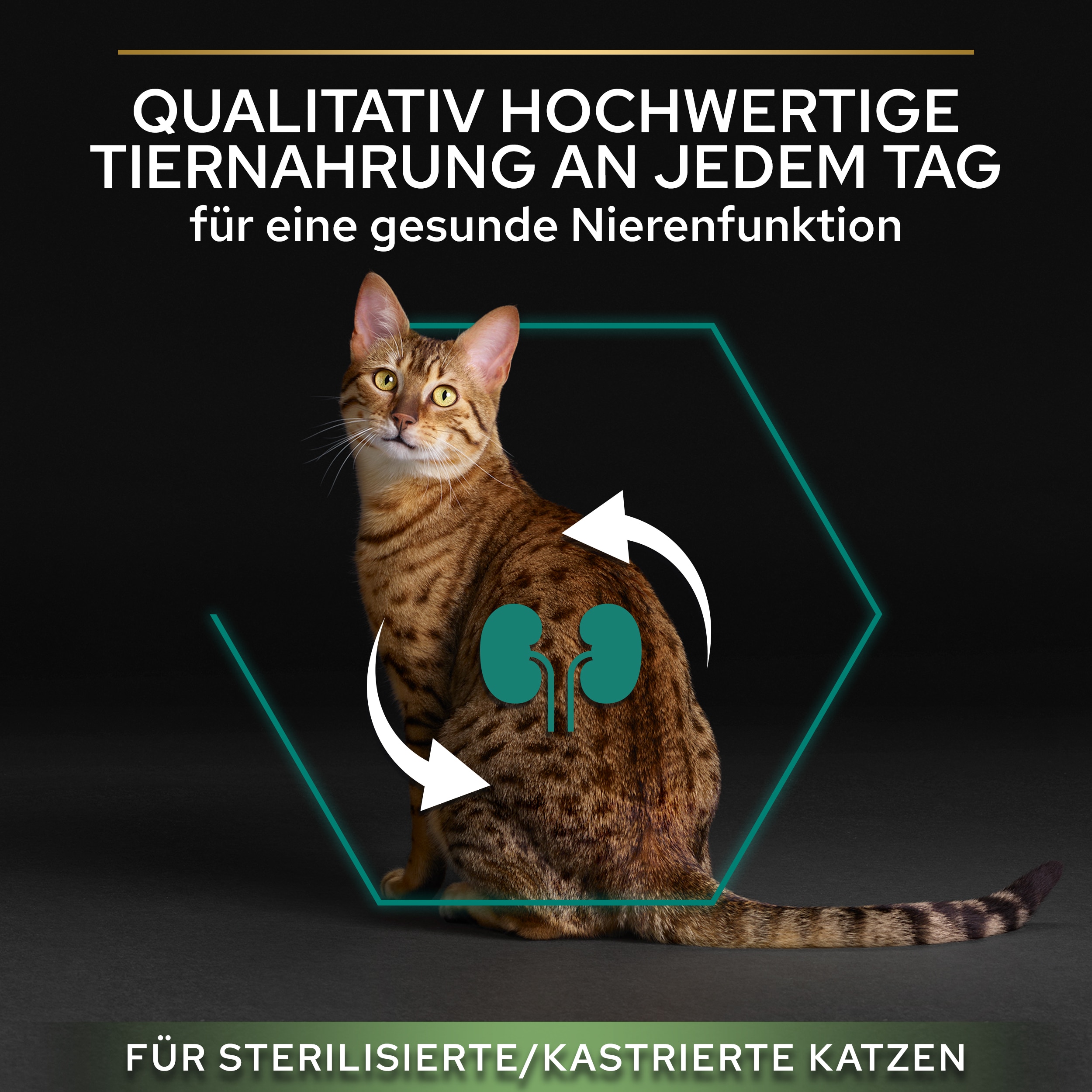 B007R0RPMC.pt03 Adult Sterilised Renal Plus - hochwertiges Katzentrockenfutter