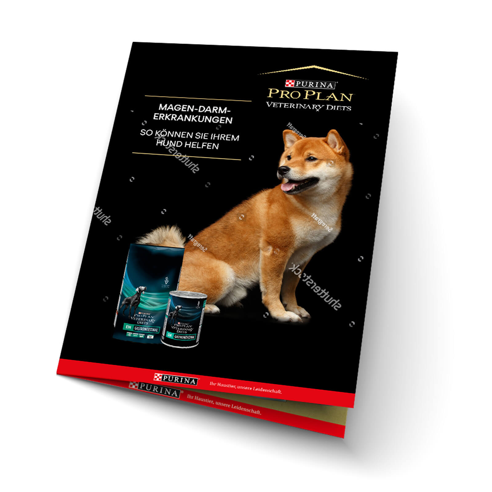 12937648-3564889215699959 EN Gastrointestinal Gesundheitspaket - Broschüre