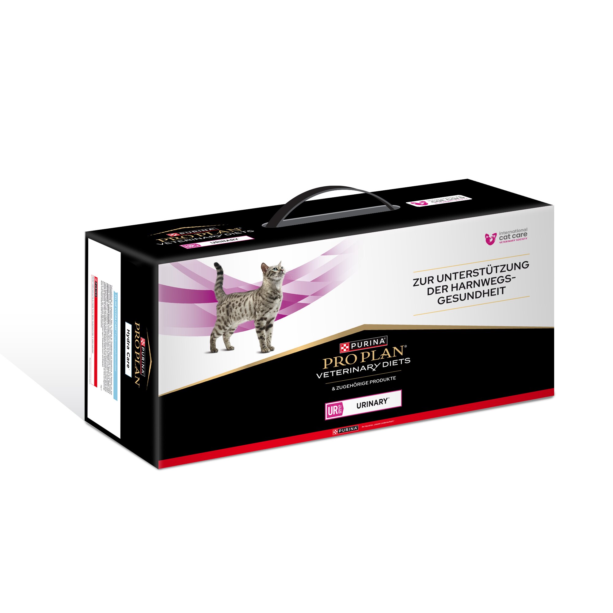 Purpur, Katze, Säugetier, Haustier, Kiste