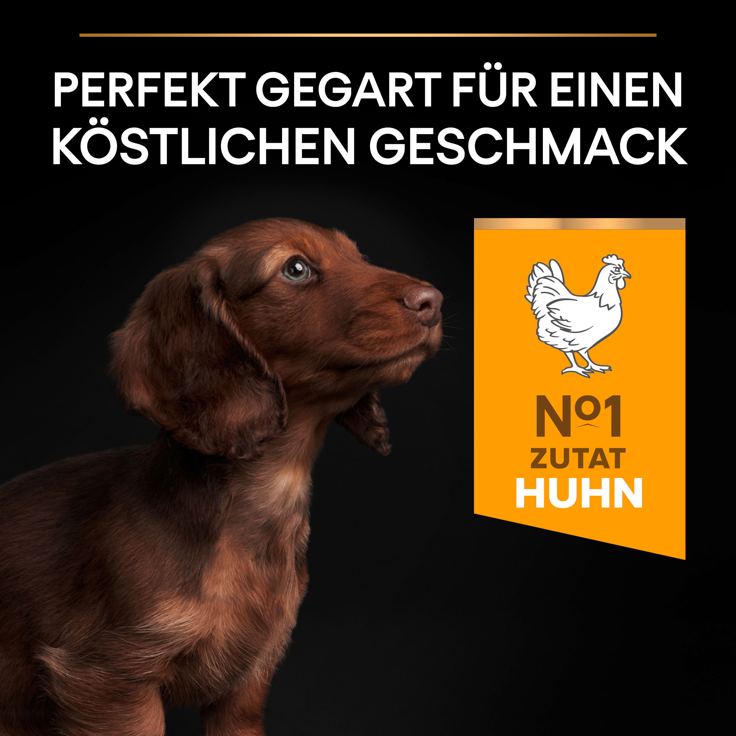 B00Y9SU19O.pt03 Puppy Healthy Start Trockenfutter - Huhn