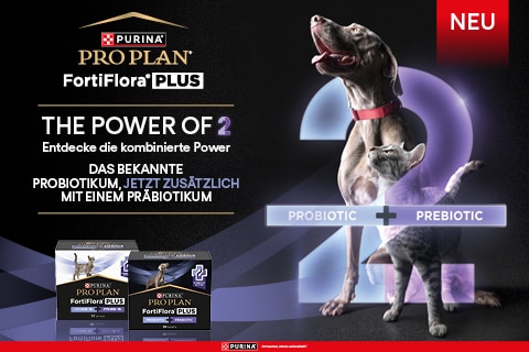 007_FortiFlora_e-content_Webshop_MB480x320 007_FortiFlora_e-content_Webshop_MB480x320