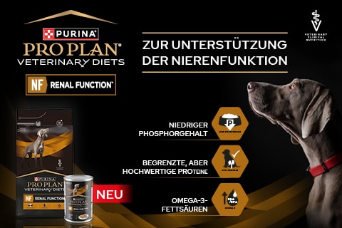 153_Formatanpassung_Banner_PPVD_Nf_Hund_MB480x320 153_Formatanpassung_Banner_PPVD_Nf_Hund_MB480x320