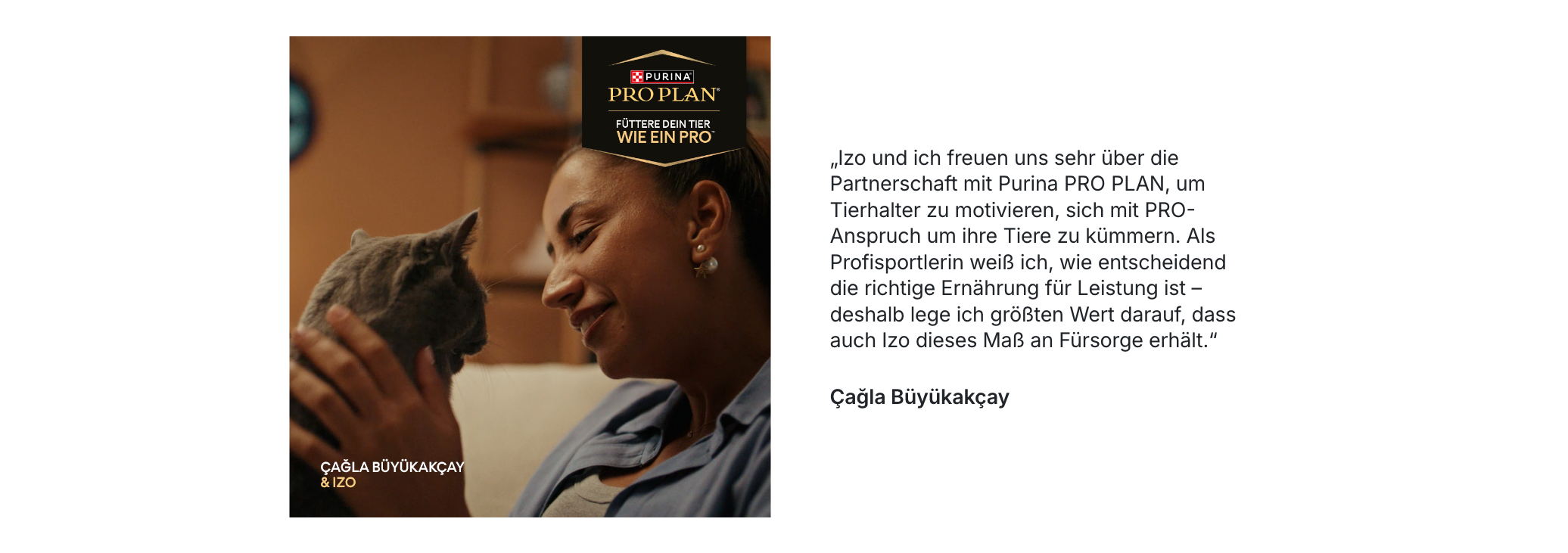 katze, frau, tier, Purina, katze