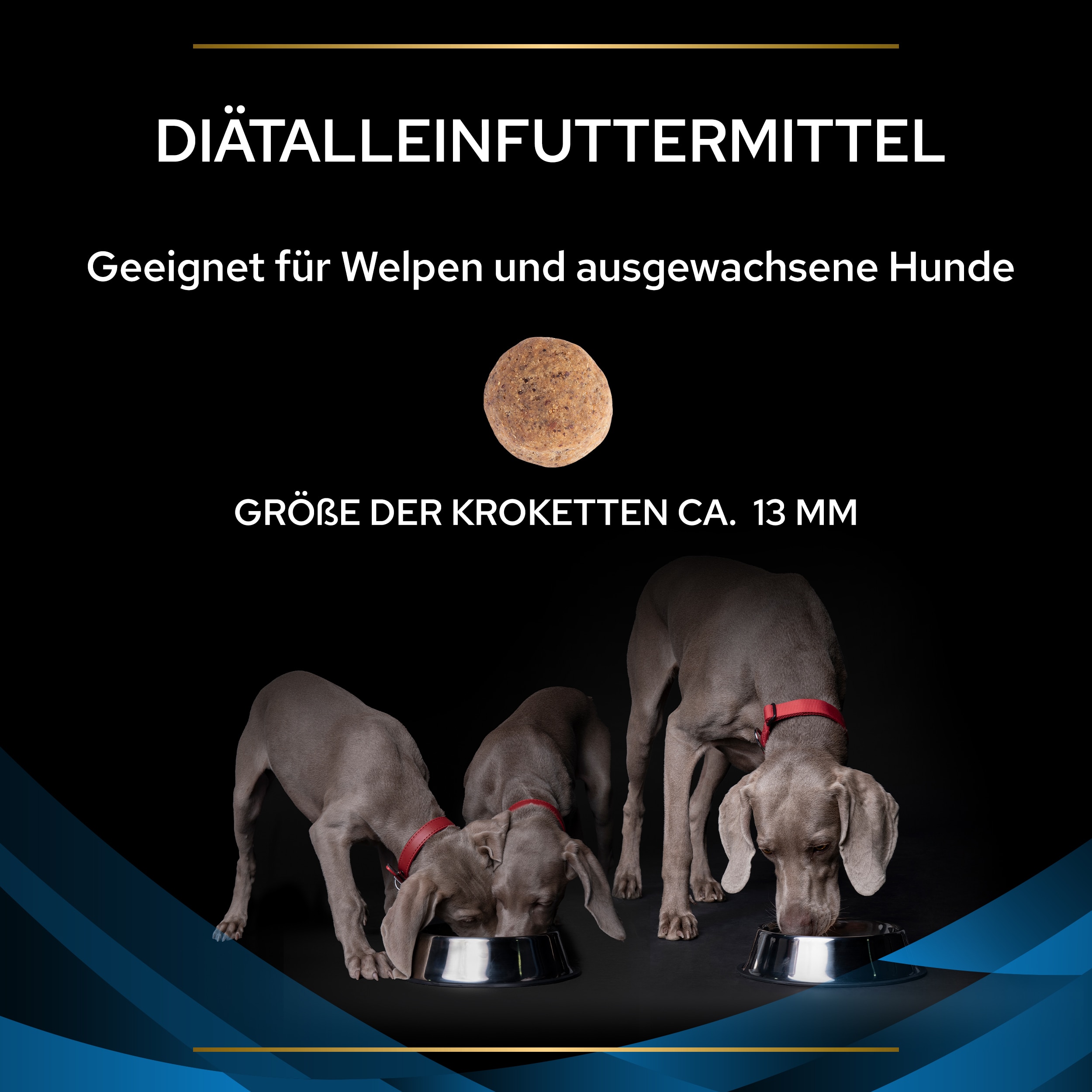 PUPPVDDDPPVDR22Ksiz1LES_1665127468906 Dermatosis Größe der Kroketten 13mm