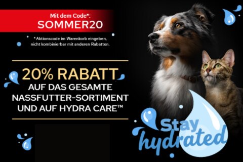 Werbung, Plakat, Hund, Haustier, Katze