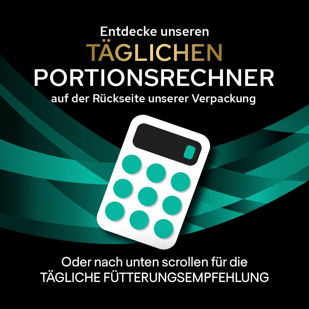 Werbung, Plakat, Elektronik