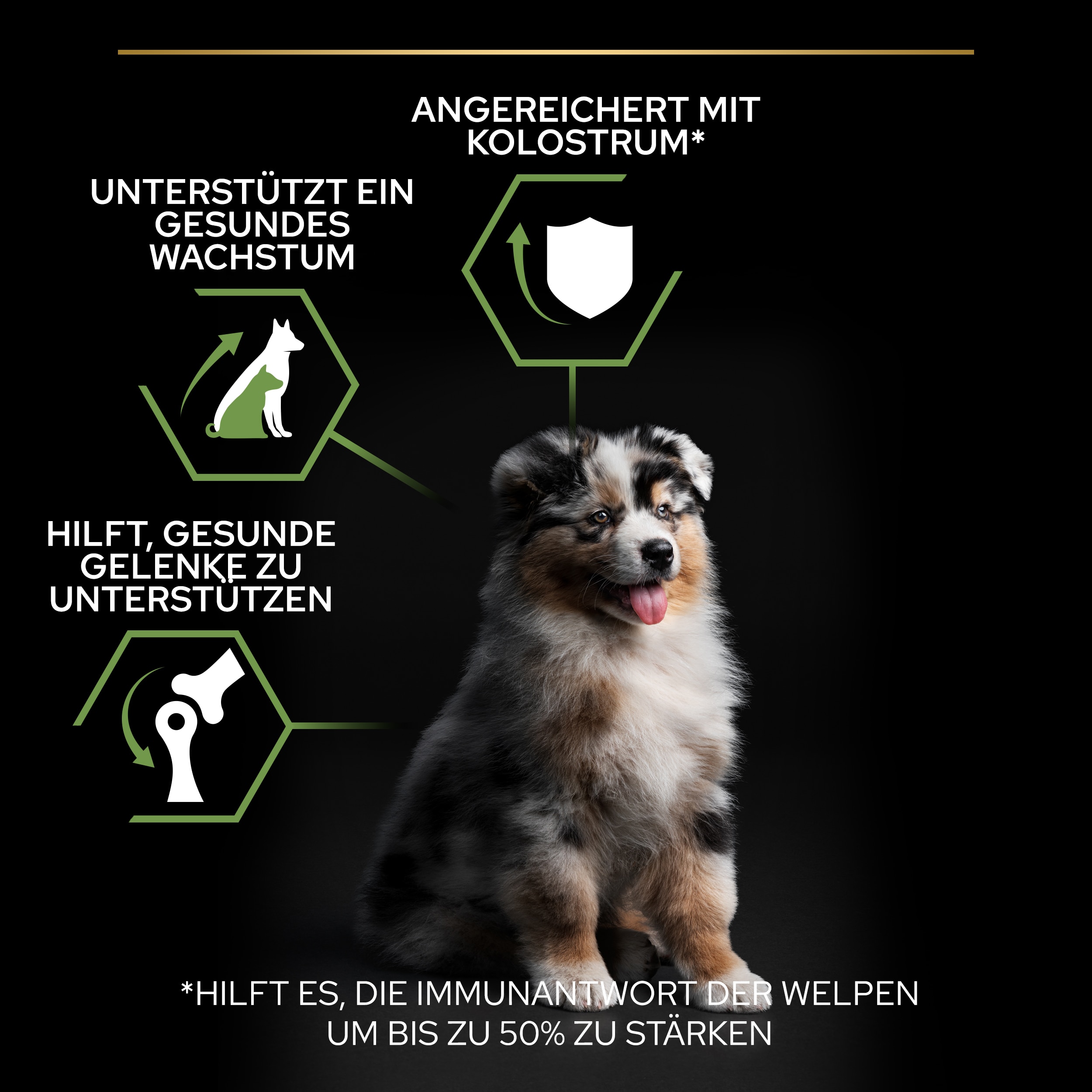 B00Y9SSHU4.pt02 Trockenfutter Medium Puppy Healthy Start