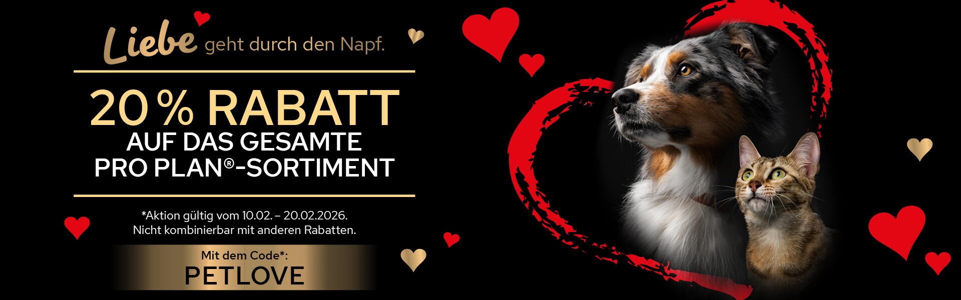 Werbung, Plakat, Hund, Haustier, Katze