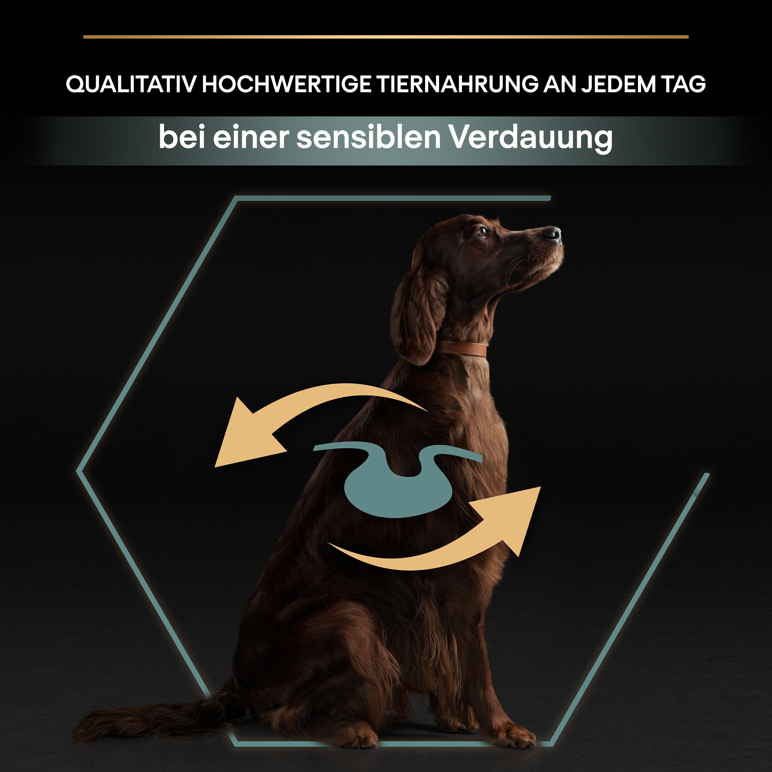 07613035415591_H1N1_DE Hochwertige Hundenahrung bei sensibler Verdauung
