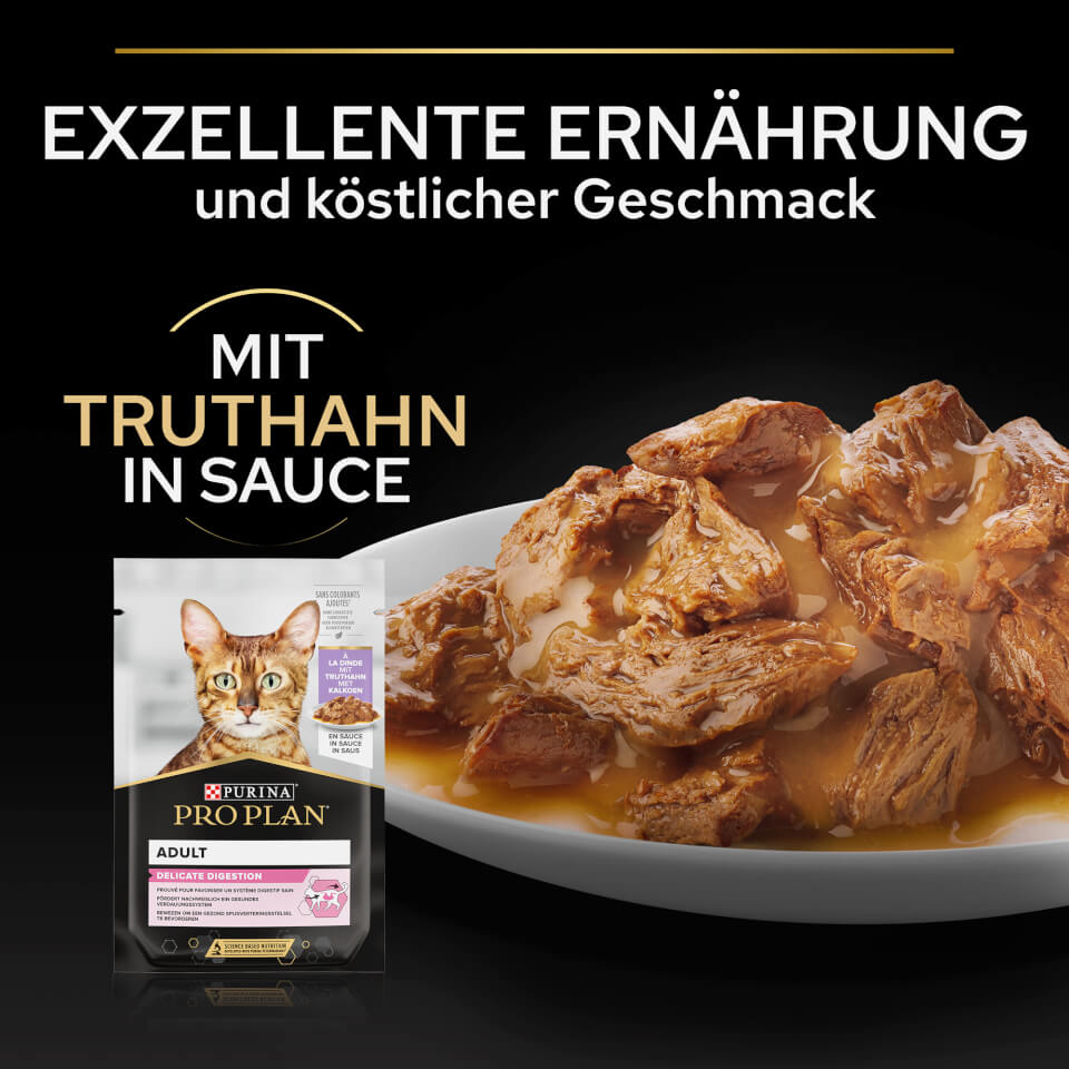 14303768-2065072628077922 Sterilised Nassfutter Truthahn - auf Teller