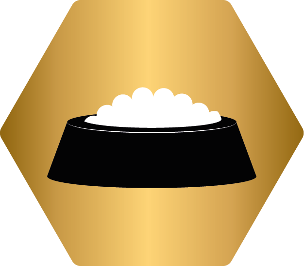 food, Schale, weiß, Reis, schwarze Schale, futter, napf, tierfutter, futterdose, schale