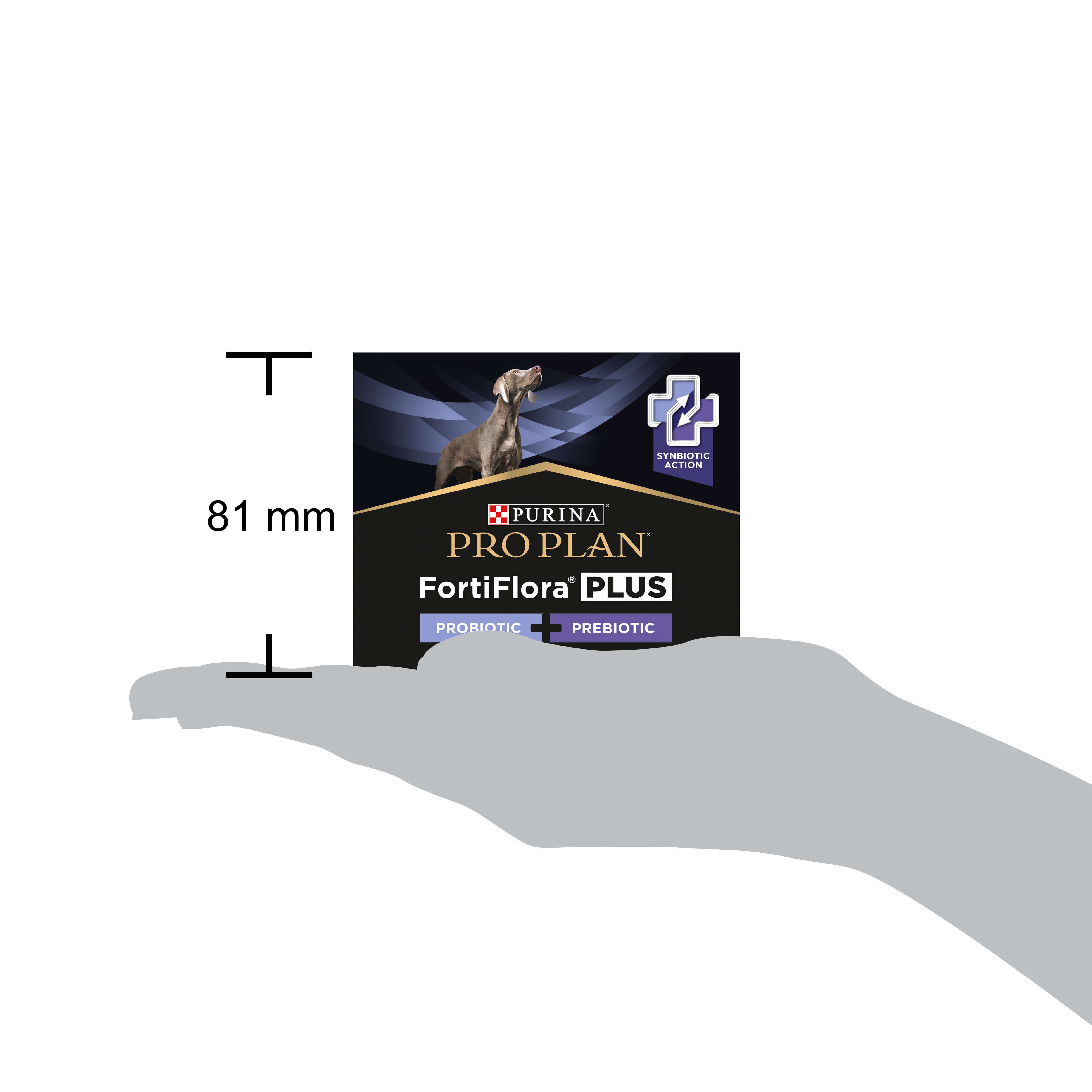 01_FF Plus eContent_Dog Werbung, Hund, Säugetier, Haustier, Werbung, Hund, Säugetier, Haustier