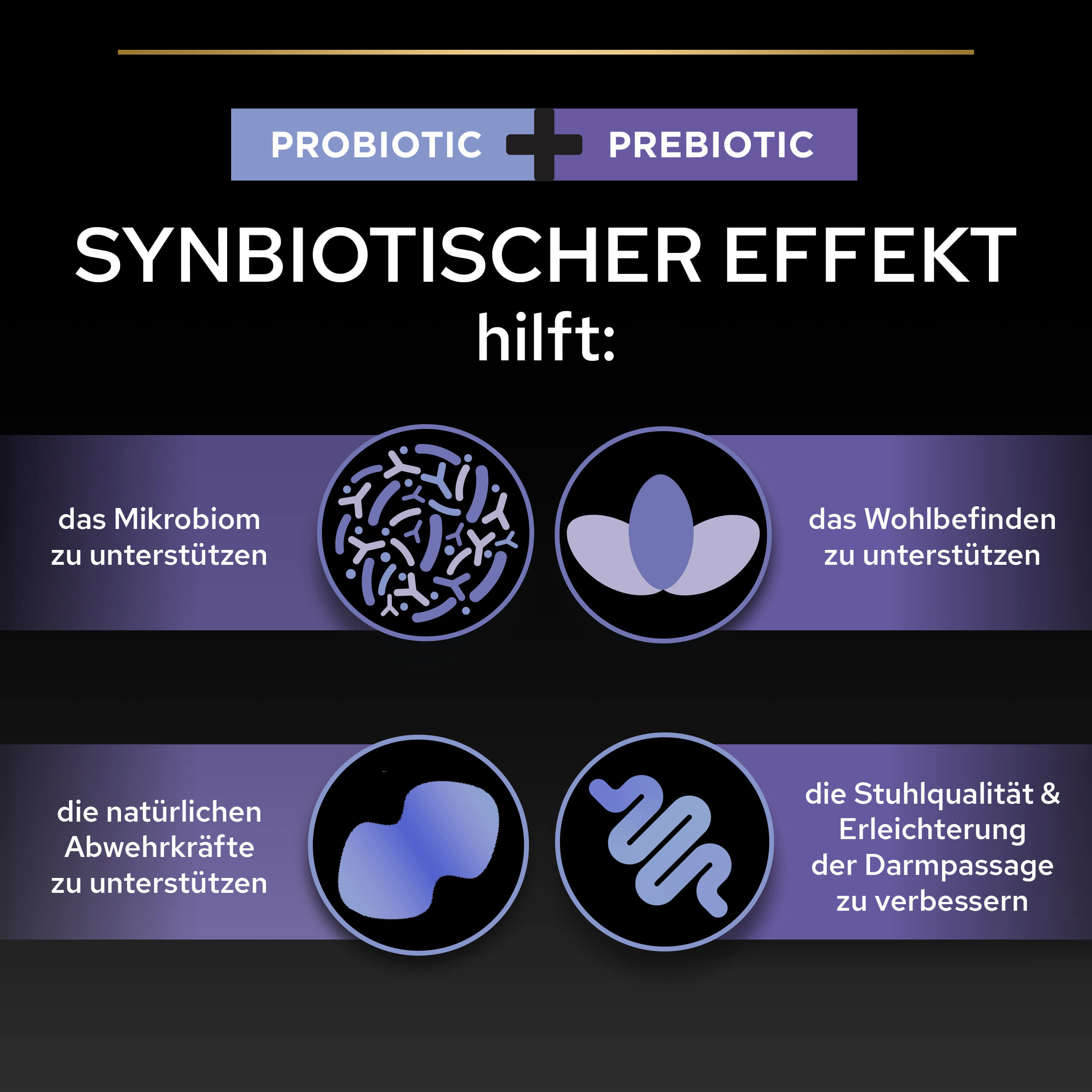 04_FF Plus eContent Synbiotischer Effekt Hund