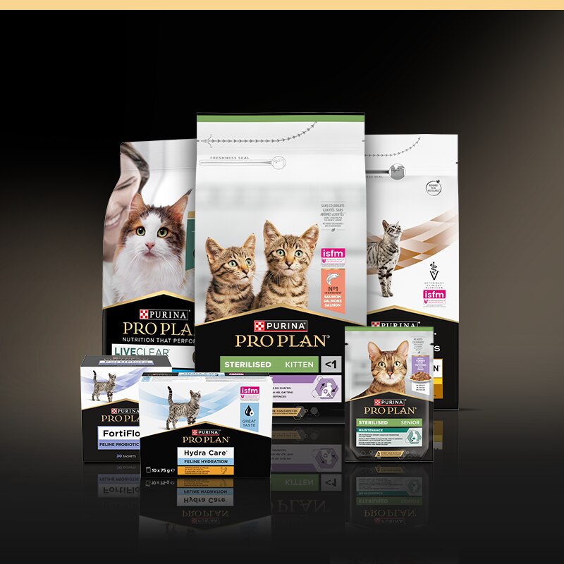 Katze, Katzenfutter, Trockenfutter, Purina Pro Plan, Sterilised Kitten