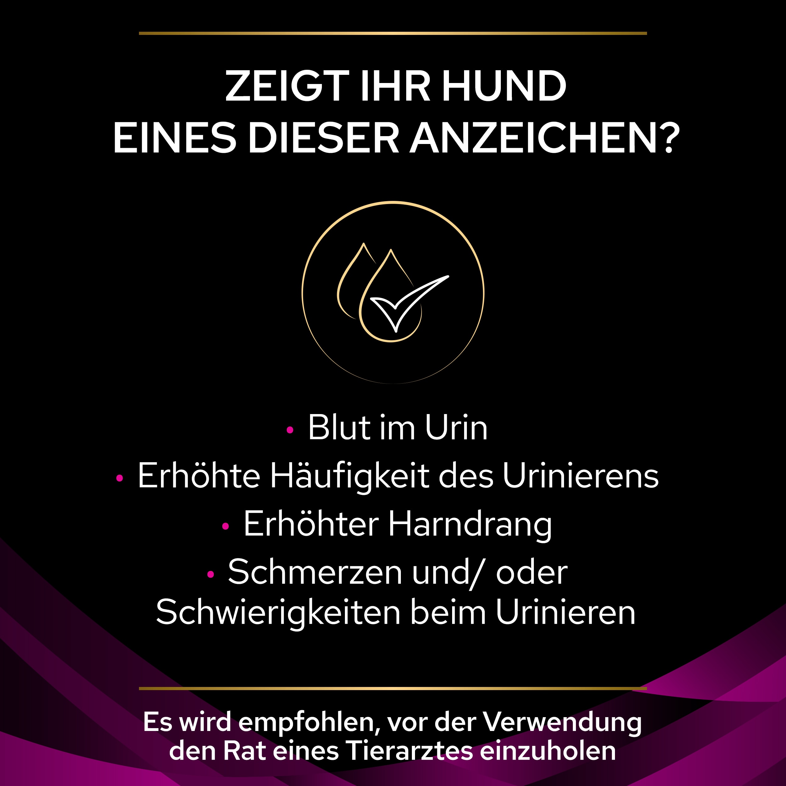 PUPPVDDDPPVUR22D1LDE_1665112290355 Symptome für Harnwegserkrankungen bei Hunden