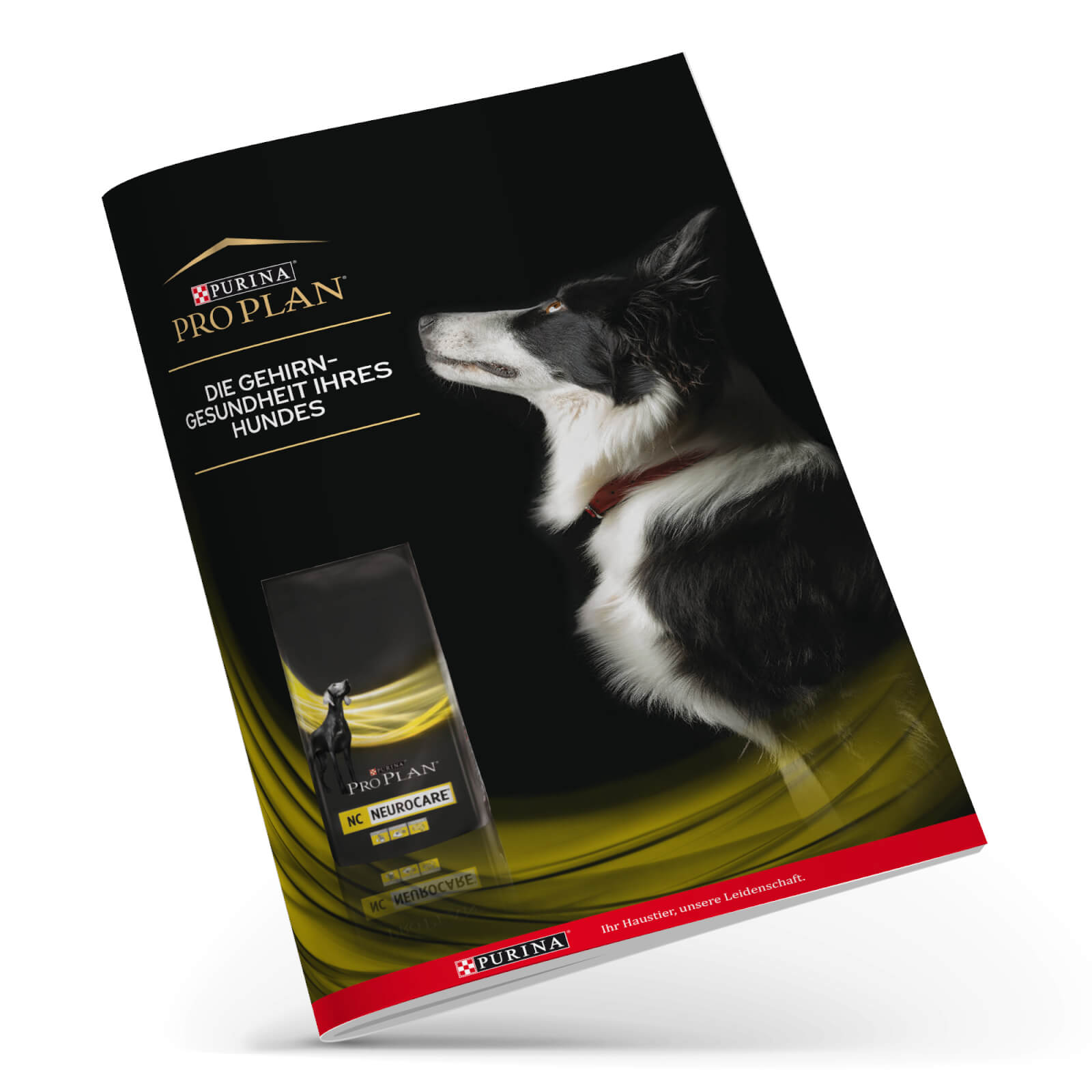 13652435-1894944116630676 Trockenfutter Hund, Neurocare Gesundheitspaket 2