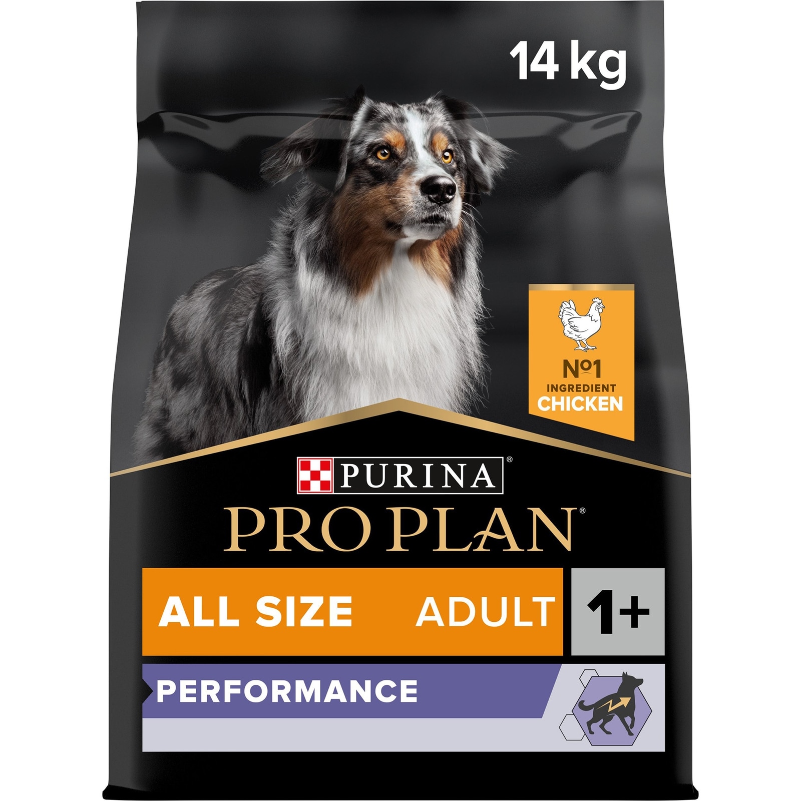Allsize Adult Performance, Trockenfutter für ausgewachsene Hunde aller Größen mit hohem Energiebedarf, reich an Huhn, 14kg AllSize Trockenfutter Hund Pack Shot