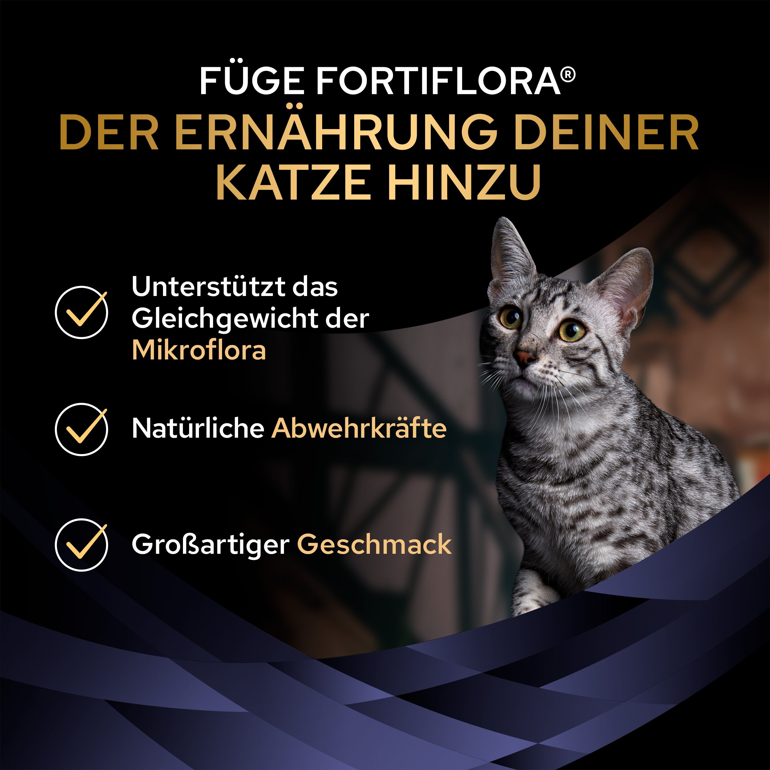 FortiFlora Chews, Ergänzungsfuttermittel für Katzen zur Unterstützung der Darmgesundheit, 30 Kautabletten