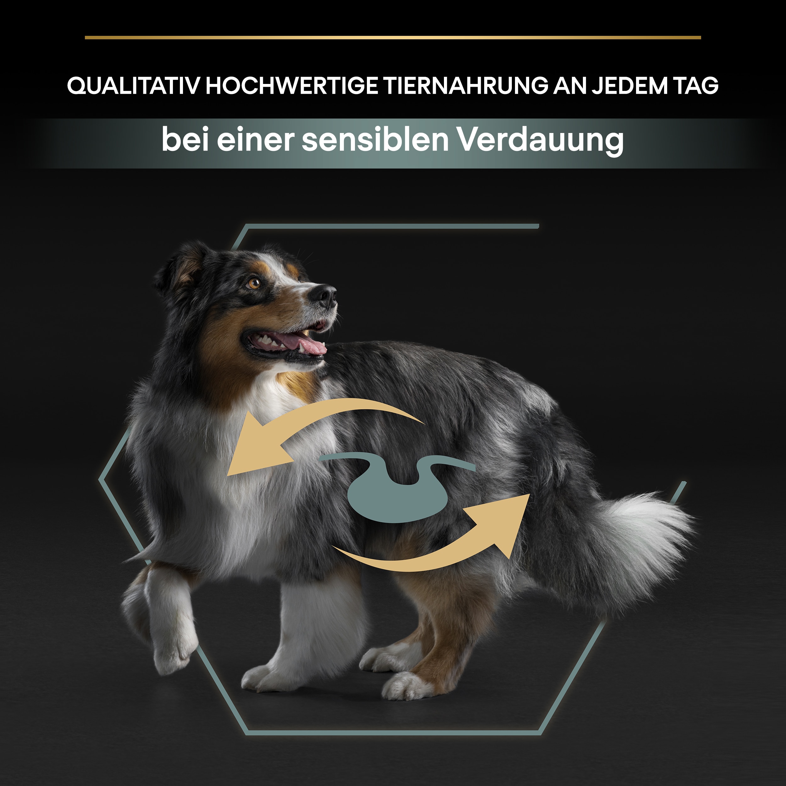 PU_SensitiveDigestion_M2_AdultMedLamb_DE_20221202_01 Tiernahrung für Hunde bei sensibler Verdauung