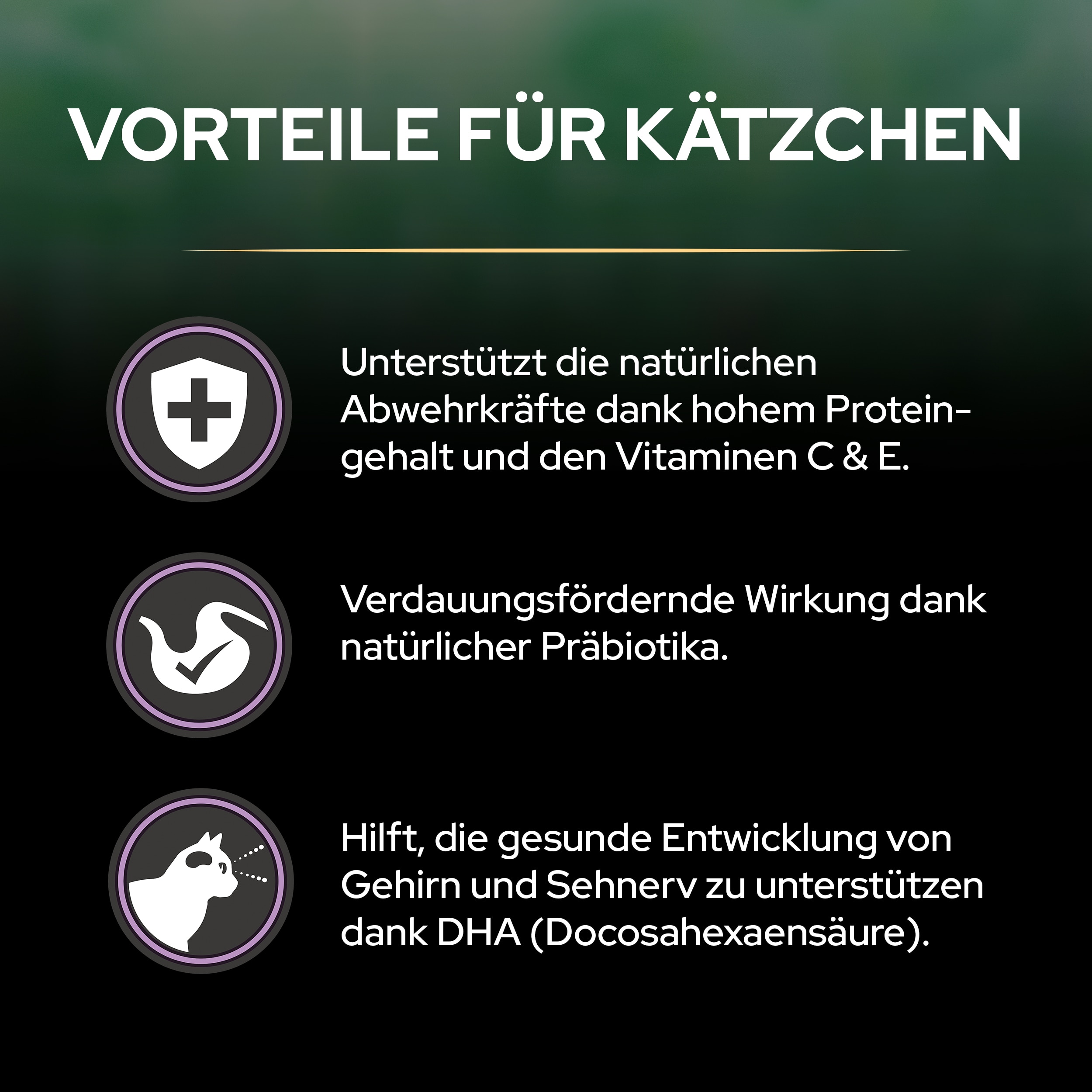 LIVECLEAR Kitten, Trockenfutter zur Reduzierung von Katzenallergenen, Truthahn 1,4kg Vorteile von Liveclear für Kitten