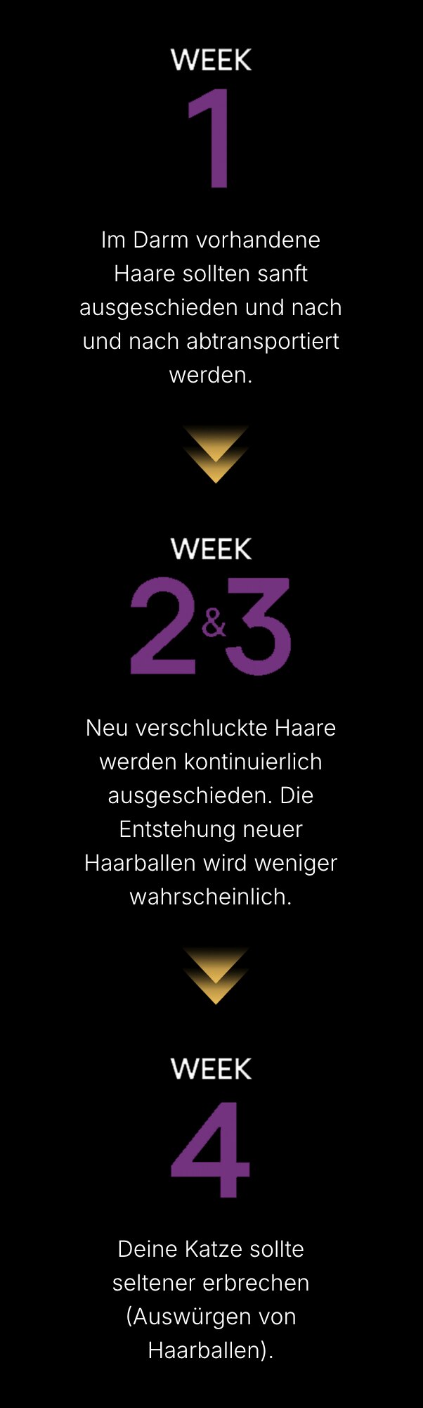 Wochenplan_mobile_2