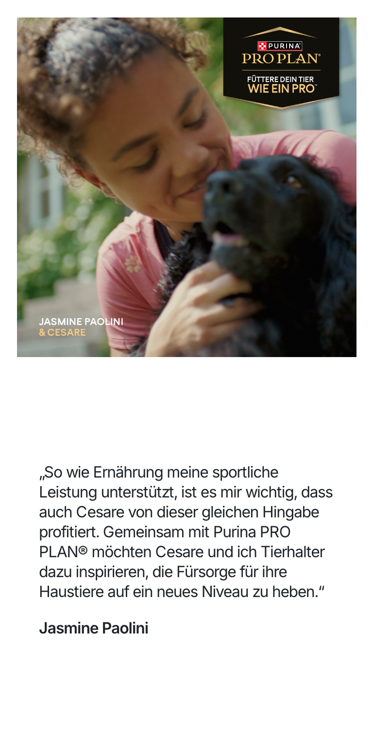 Hund, Tier, Besitzer, Rosa Hemd, Text auf Bild