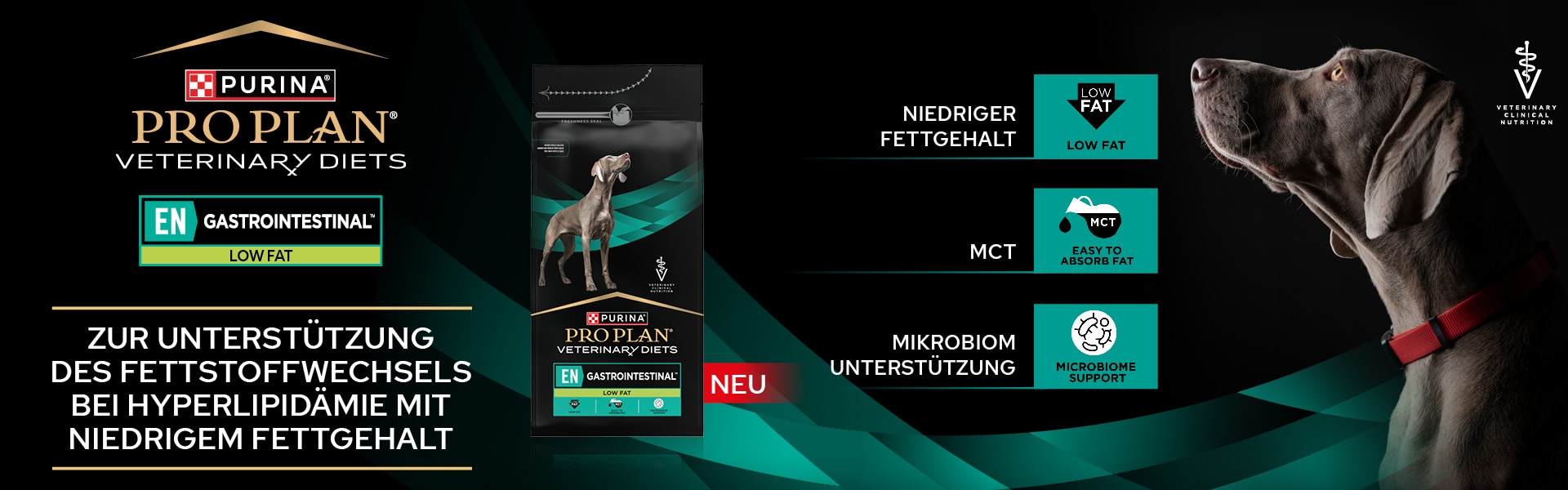 PPVD_Banner Webshop_EN LOW FAT 01_1920x600 Werbung, Plakat, Hund, Säugetier, Haustier