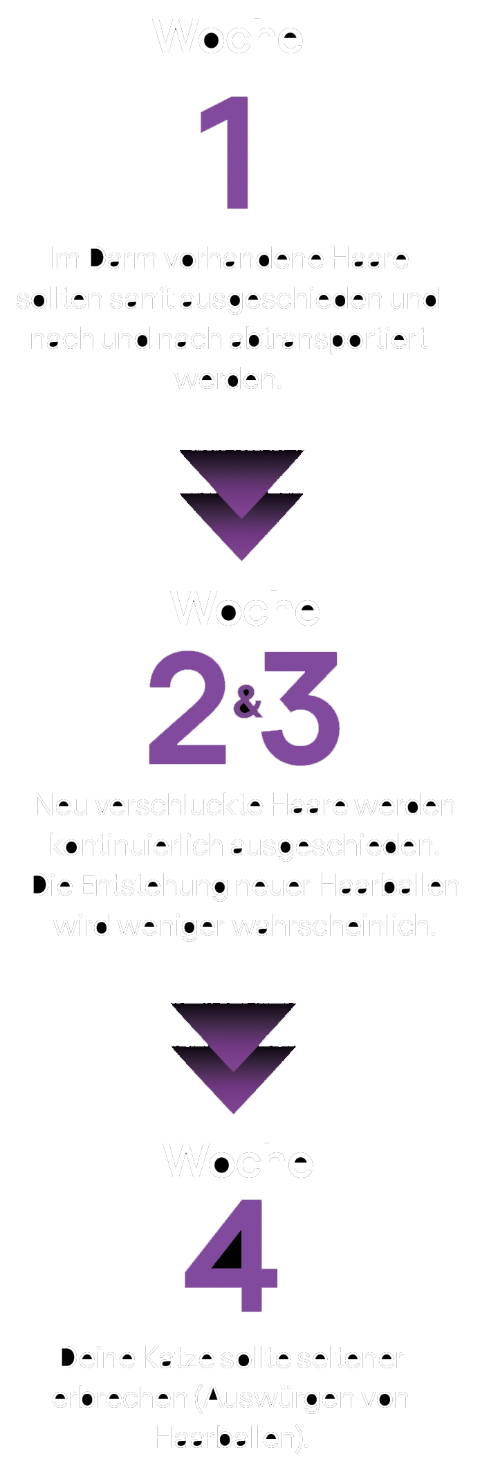 Wochenplan_Mobile_fixed