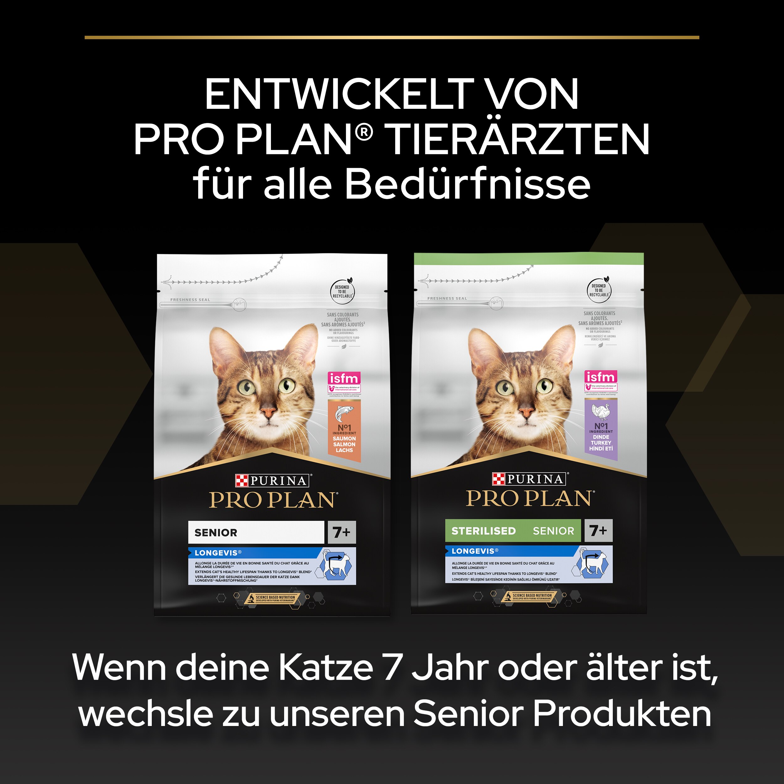 Werbung, Plakat, Katze, Säugetier, Haustier