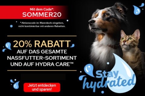 Werbung, Plakat, Hund, Haustier, Katze