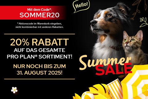 Werbung, Plakat, Hund, Haustier, Katze