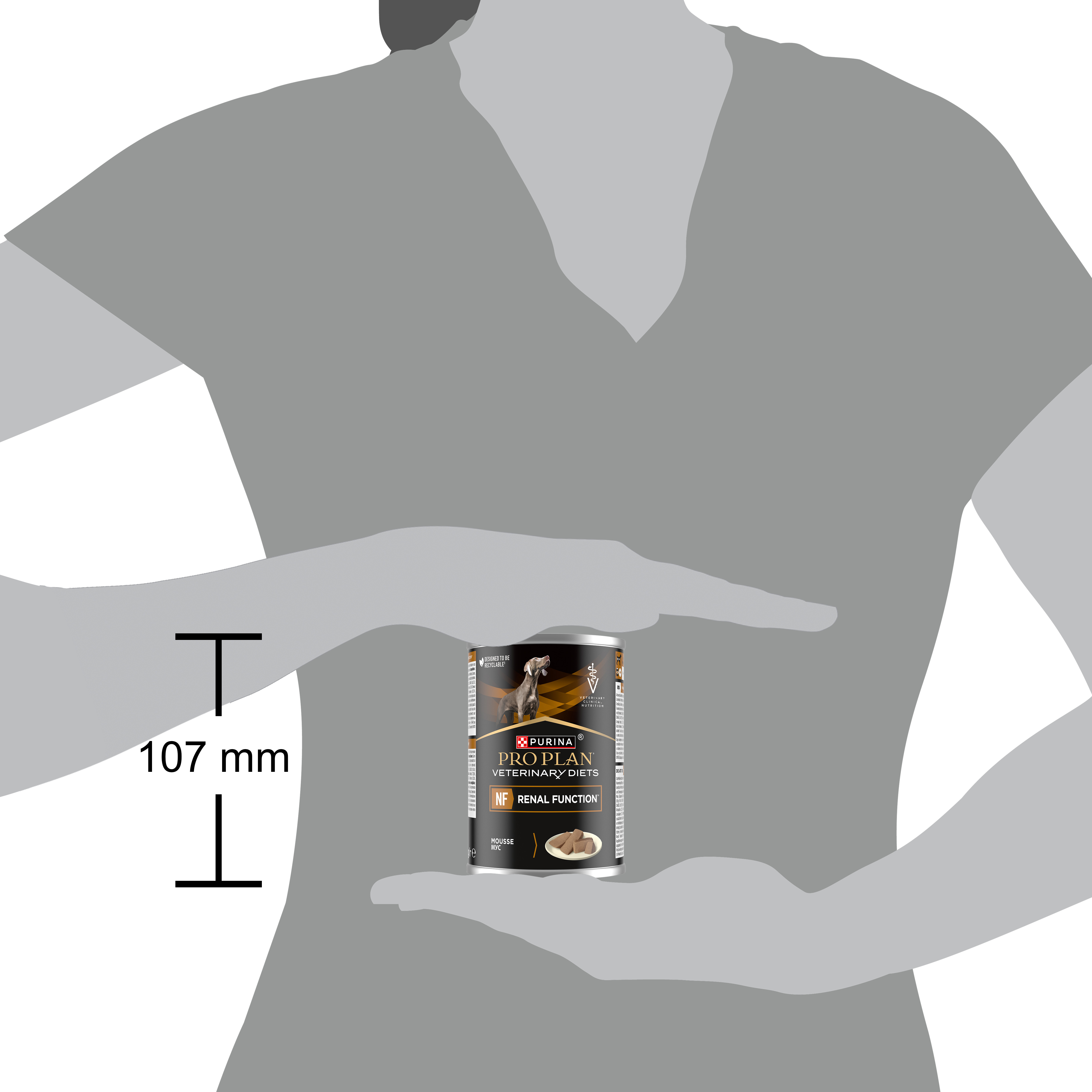 02_NF Renal Function Hund 400g