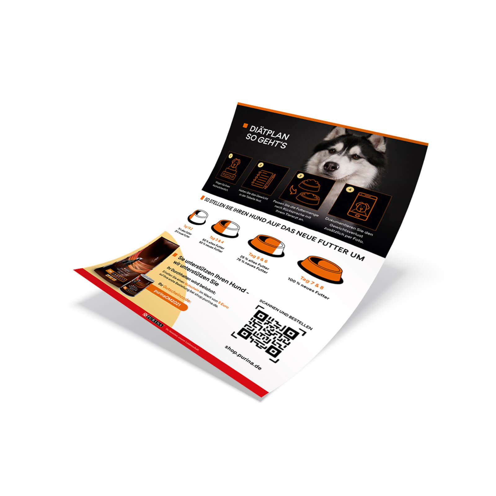 12937649-3094889215128051 OM Obesity Management Gesundheitspaket - Flyer