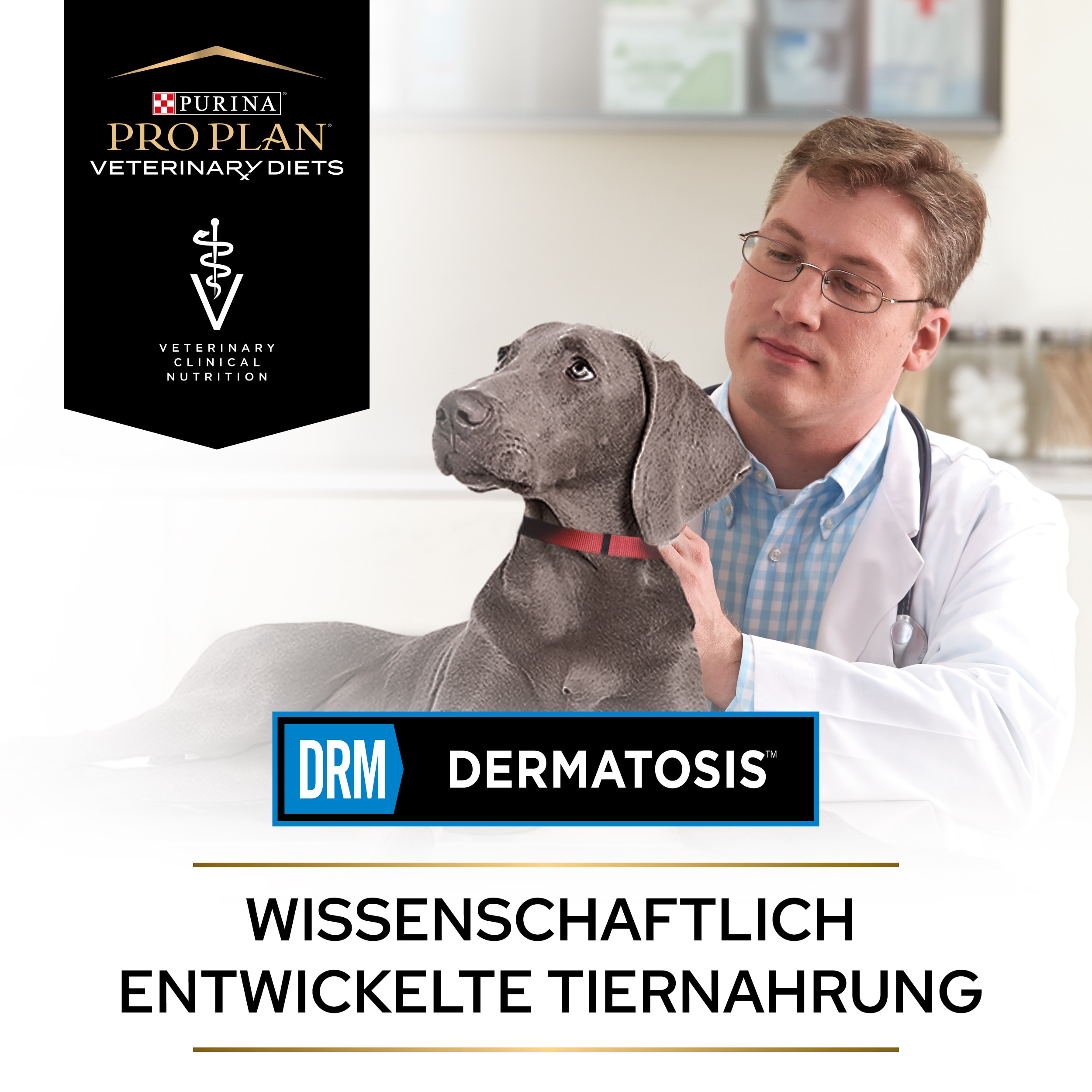 PUPPVDDDPPVDR22Endo1LDE_1665110999964 Dermatosis wissenschaftlich entwickelte Tiernahrung