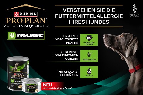 Aluminium, Werbung, Zinn, Konserven, Plakat