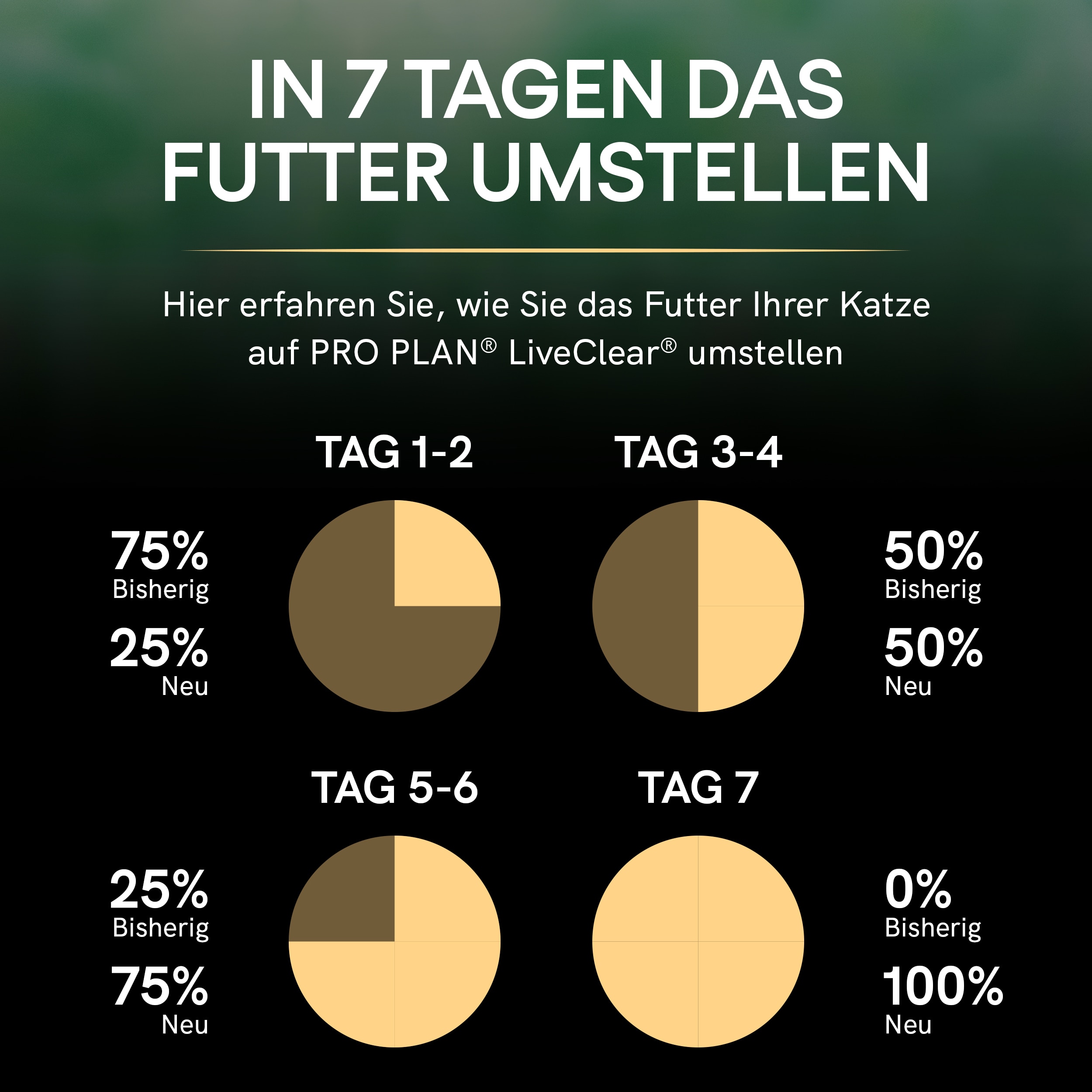DE_PURINA_PROPLAN_0321_LiveClear_eContent_Transition-Plan_2500x2500 In 7 Tagen das Futter von Katzen umstellen
