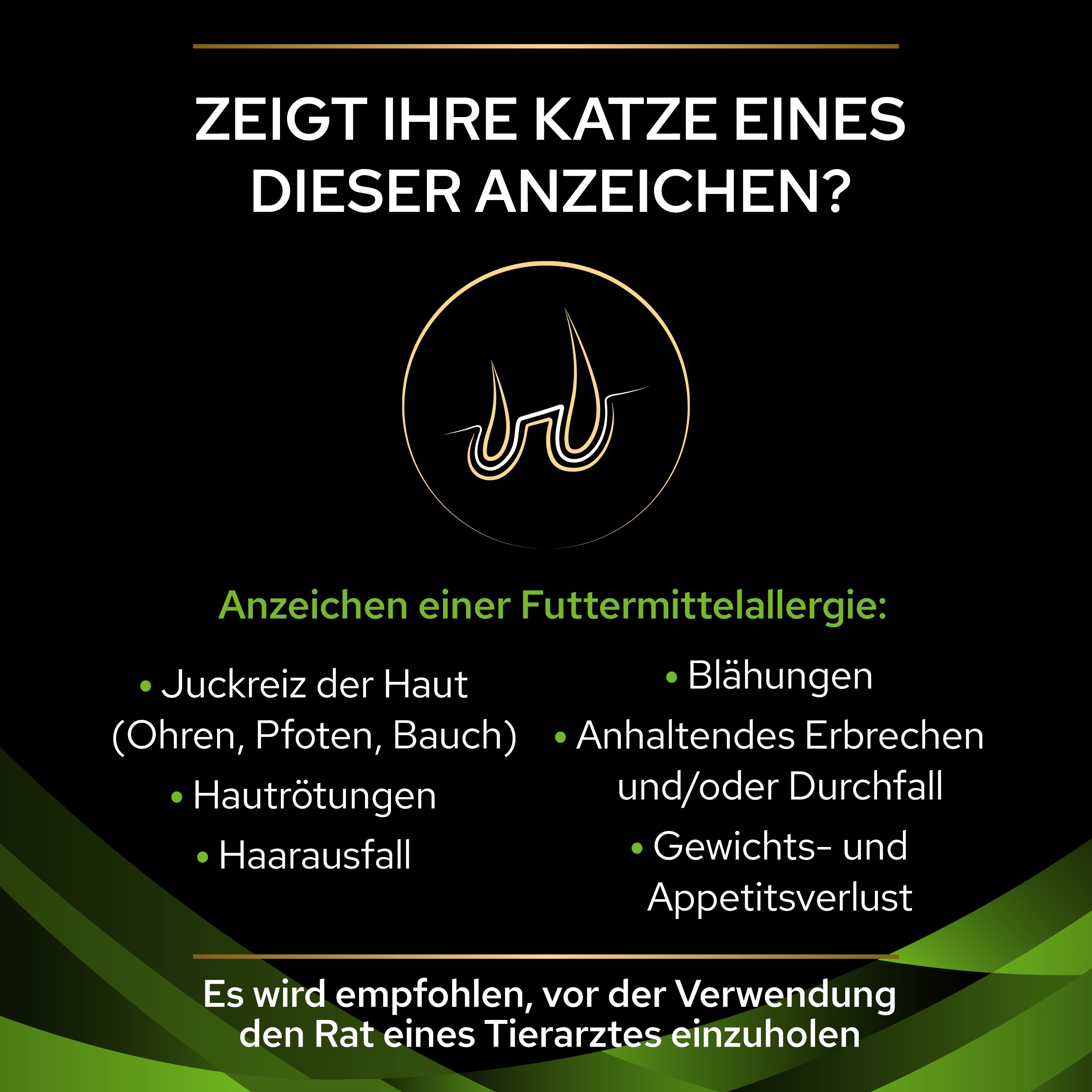 PUPPVDDCPPVHA22D1LDE_1665109513646 Symptome für Allergien bei Katzen