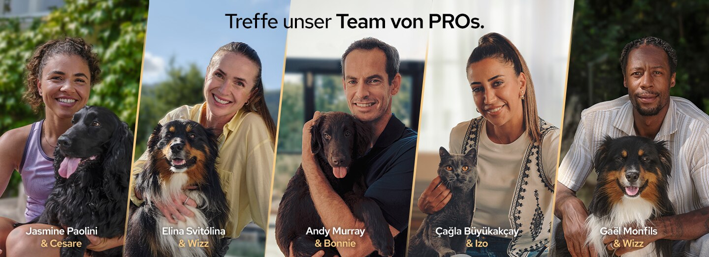 Hund, Hundebesitzer, Gruppe, Porträt, Tier”, hund, collage, personen, haustiere, gruppe