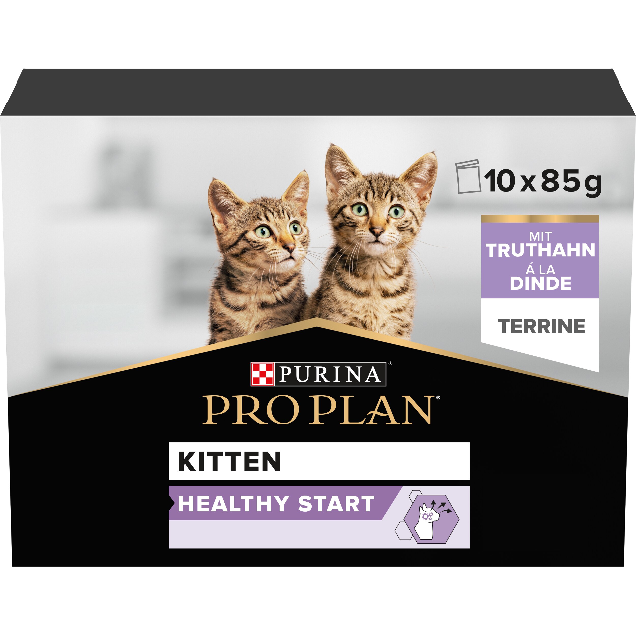 Werbung, Plakat, Katze, Säugetier, Haustier