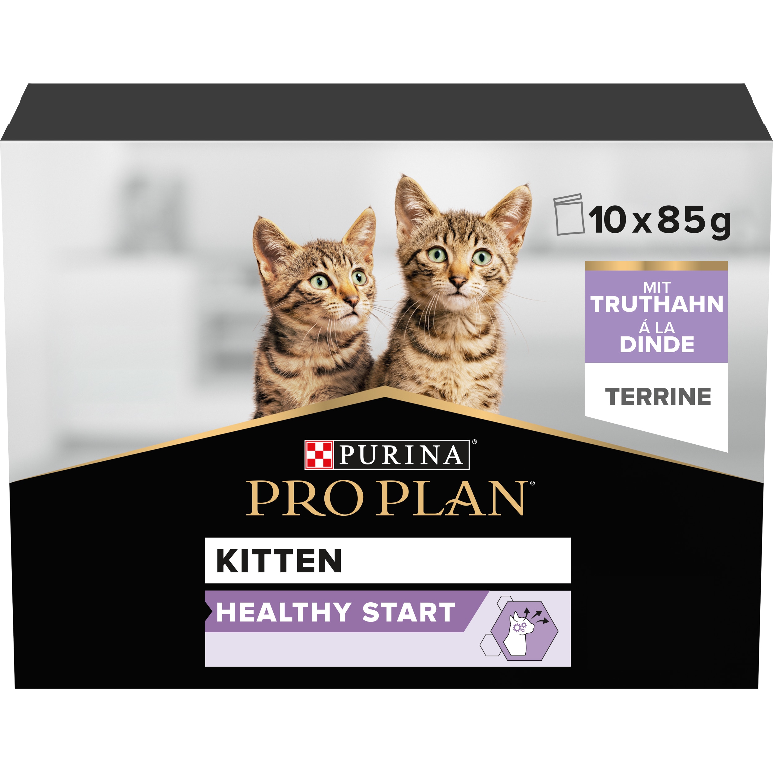 HEALTHY START Kitten Nassfutter für Katzen mit Truthahn in Sauce, 10x85g Beutel Werbung, Plakat, Katze, Säugetier, Haustier