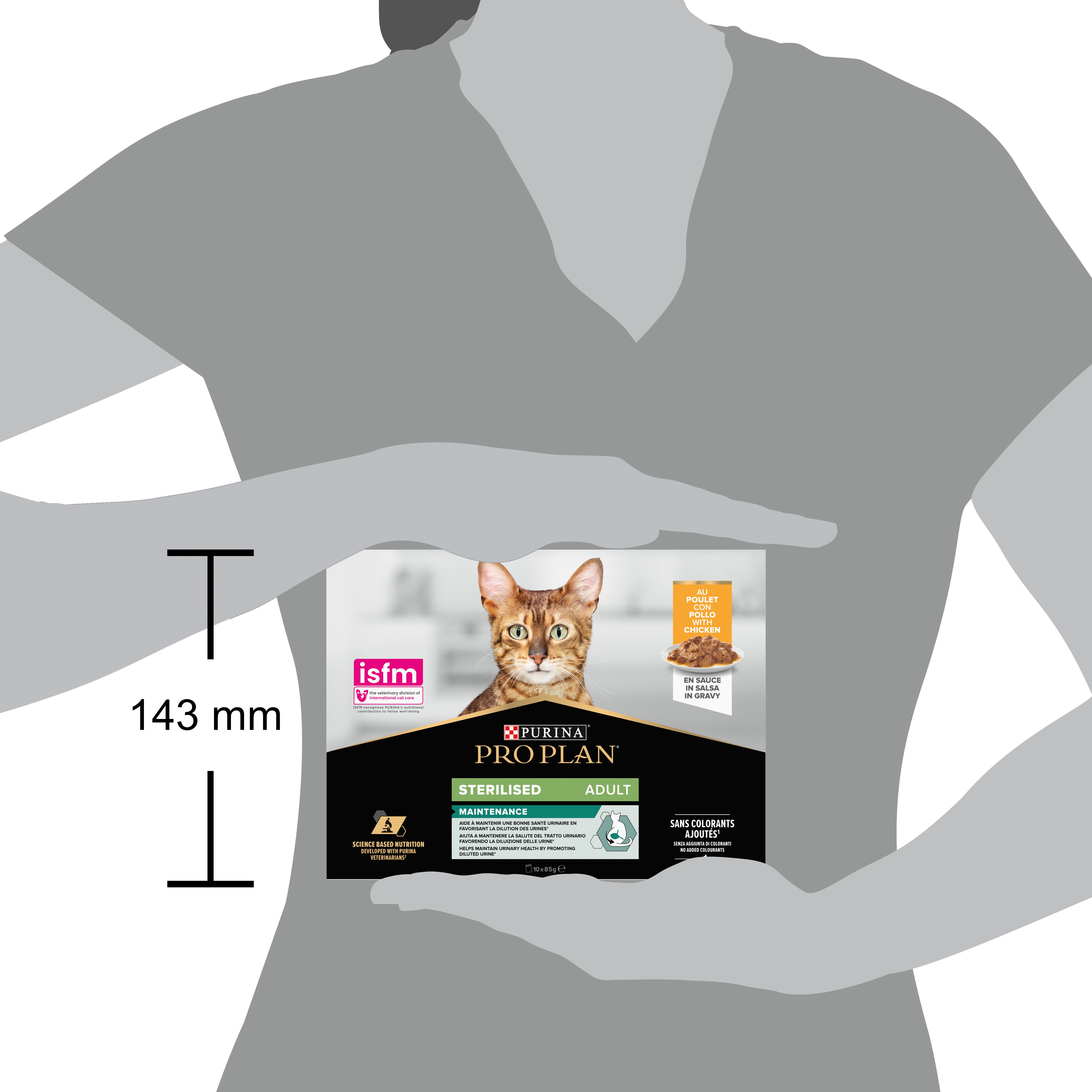 Abessinisch, Tier, Katze, Säugetier, Haustier