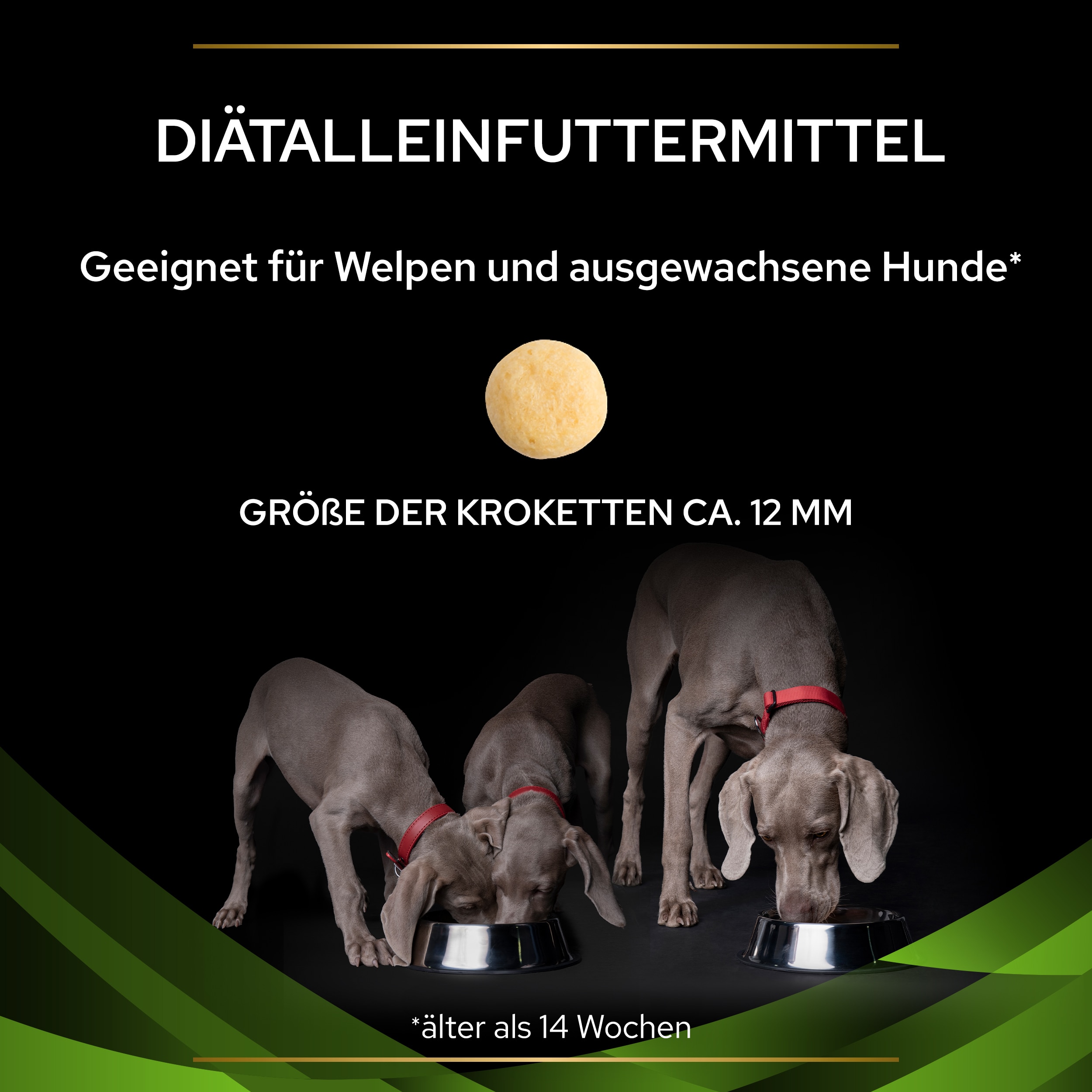 PUPPVDDDPPVHA22Ksiz1LES_1665127468906 HA Hypoallergenic - Krokettengröße ca. 12mm