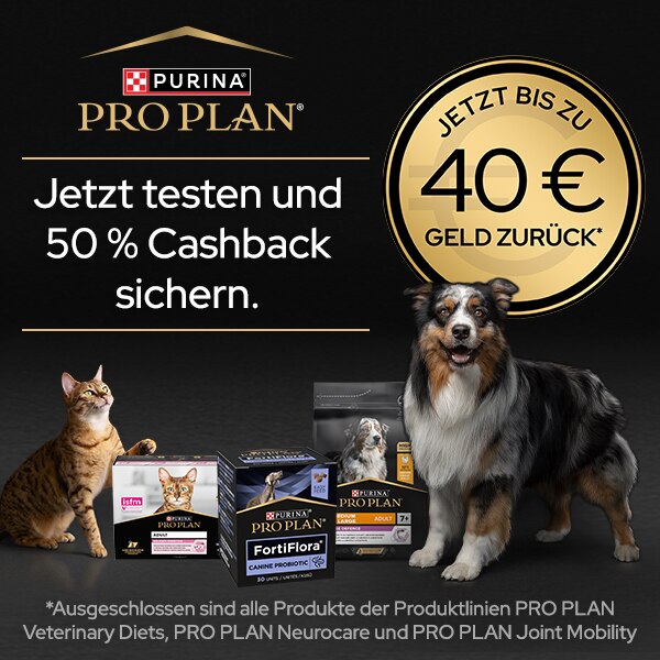Cashback-Aktion: bis zu 40€ zurück, Werbung, Plakat, Hund, Haustier, Katze