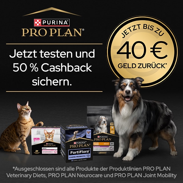 DE_PURINA_PROPLAN_0925_Cashback_Shop-Landingpage_Header_Mobile_600x600 Cashback-Aktion: bis zu 40€ zurück, Werbung, Plakat, Hund, Haustier, Katze