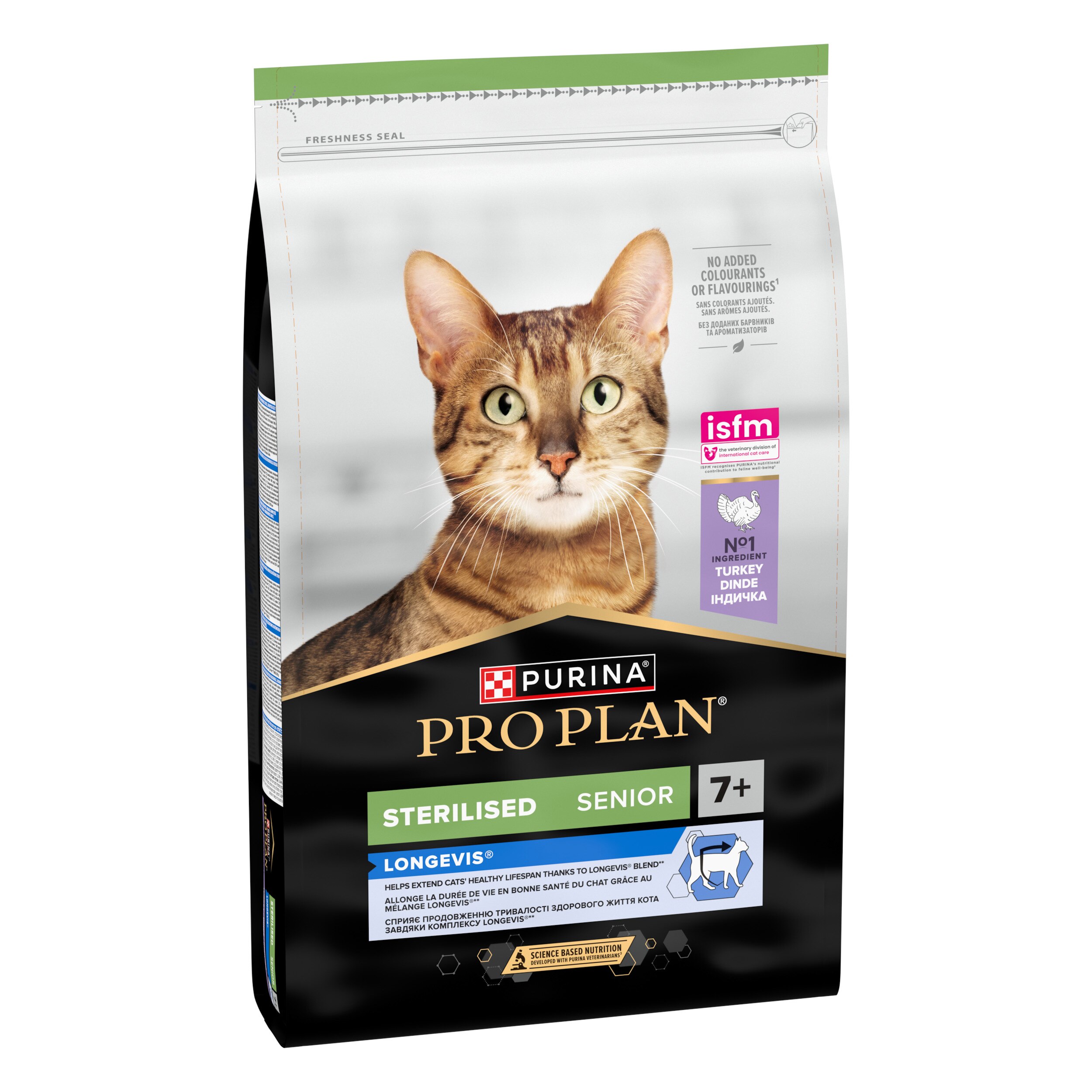 Abessinisch, Tier, Katze, Säugetier, Haustier