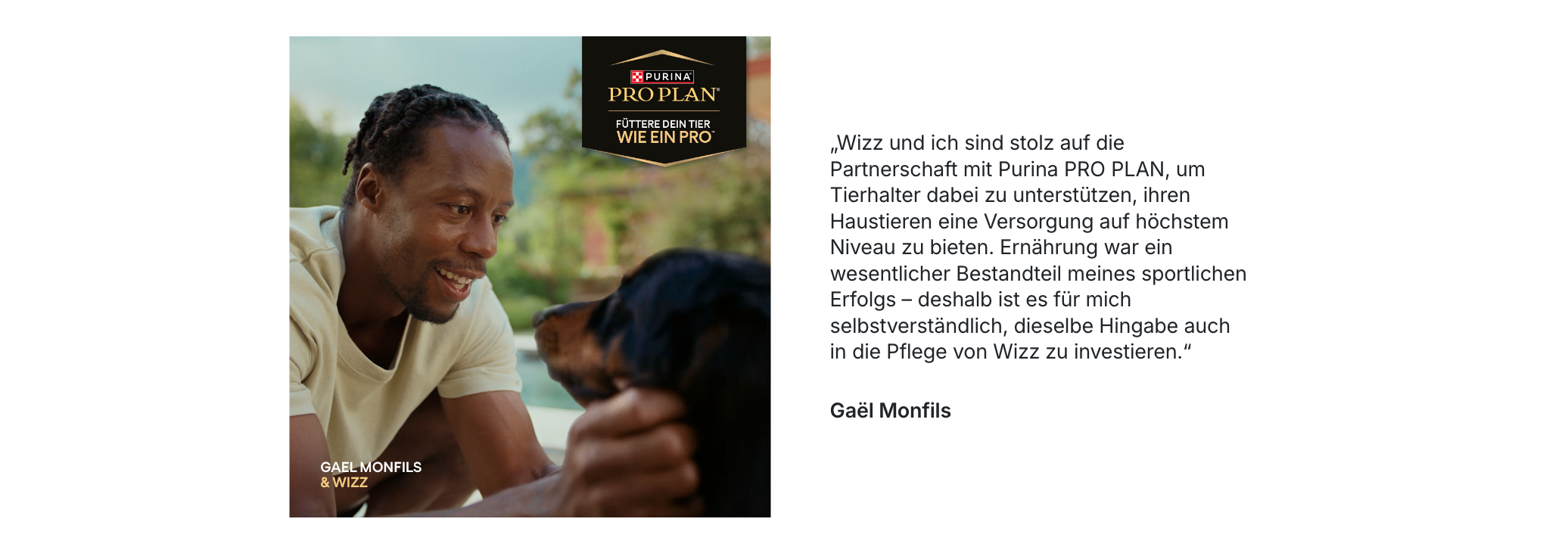 Hund, Tier, Besitzer, Pflege, Halsband